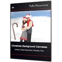 Christmas / Hanukkah / Holiday - Digital Backgrounds