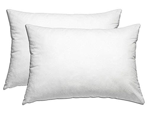 L' COZEE Deluxe 2-Piece Down Alternative Pillow Set W/ 100% Cotton Covers –Micro-Denier Pillows W/ 233 Thread-Count, Lofty Fill & Double-Stitch Edges –, Queen Size 20 x 28