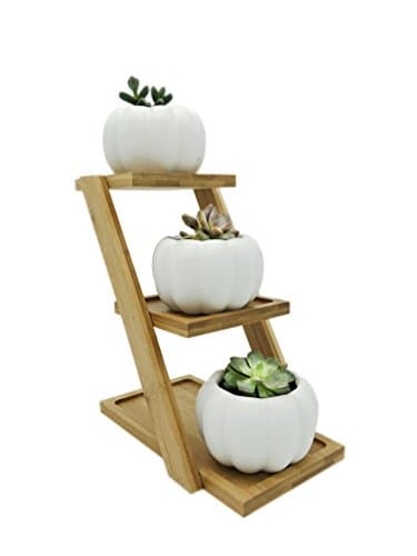 DecoLife Pumpkin Planter Small Round White Ceramic Succulent/Cactus Pot Modern Garden Decorative Nordic Style 3 Tier Bamboo Stand Cute Pumpkin Pot Desk Organizer