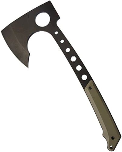 Medford Bearded Hawk