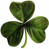 Shamrock - Trifolium Dubium - 400 Seeds [St Patrick]