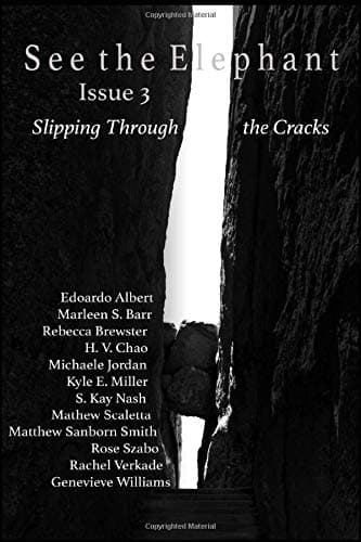 See the Elephant, Issue 3: Slipping Through the Cracks