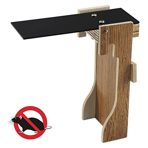Tescat Plank Mouse Trap - Humane Auto Reset Walk The Plank Mouse Trap Kill or Live Catch Rat Traps Control for Mice, Rats, Rodents & Other Pest