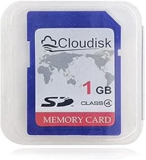 Cloudisk SD Card (1GB)