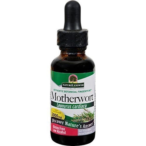 Nature's Answer Motherwort Herb 1 Fl Oz
