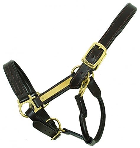 Amigo Leather Headcollar: Black: Horse