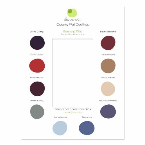 Devine Color Interior Paint Discovery Card, Running Wild by Valspar Paint