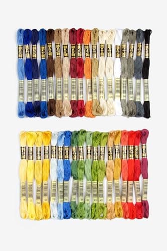 DMC Embroidery Floss Pack 8.7 Yards-Home Decor 36/Pkg (並行輸入品)