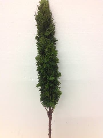 32" Slim Cedar Cone Topiary Stem Green (Pack of 4)