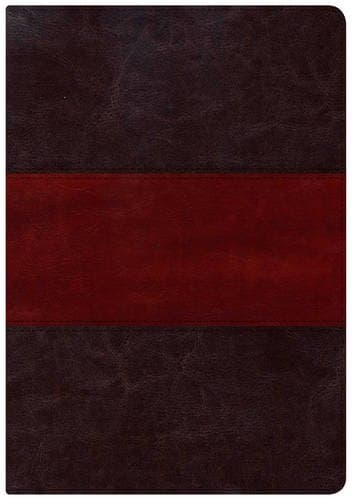 Holman Study Bible: NKJV Large Print Edition, Saddle Brown LeatherTouch Imitation Leather – Large Print, 1 Feb. 2015
