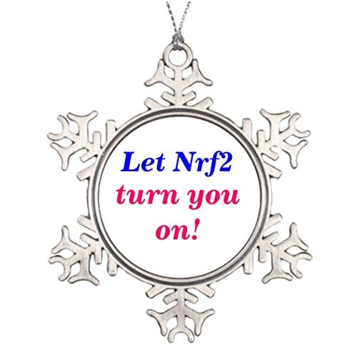 Tree Branch Decoration Nrf2 Christmas Tree Decor Glutathione