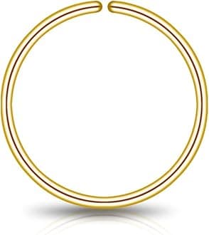 LUCKYJEWUS Small Thin Gold or Sterling Silver Nose Ring Hoop for Women, Tiny Nose Piercing jewelry