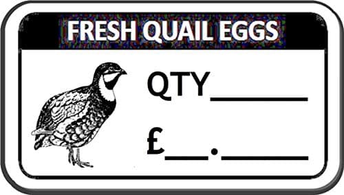 52 x Fresh Quail Egg Box Labels Quail Egg Stickers