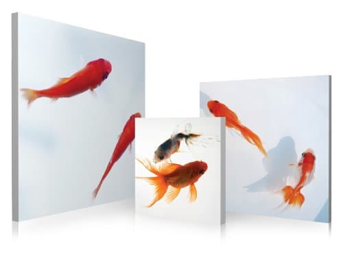 Zi Art Decor Koi Fish Art Set, 3-Piece
