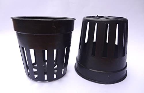 Aggreen Basket Cups for Hydroponics Gardens 2" inches 100 EA