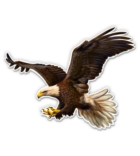 GT Graphics Express Bald Eagle - 12" Vinyl Sticker Waterproof Decal