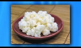 Kefir Grains - Living Probiotic Enriched "As seen on TV"