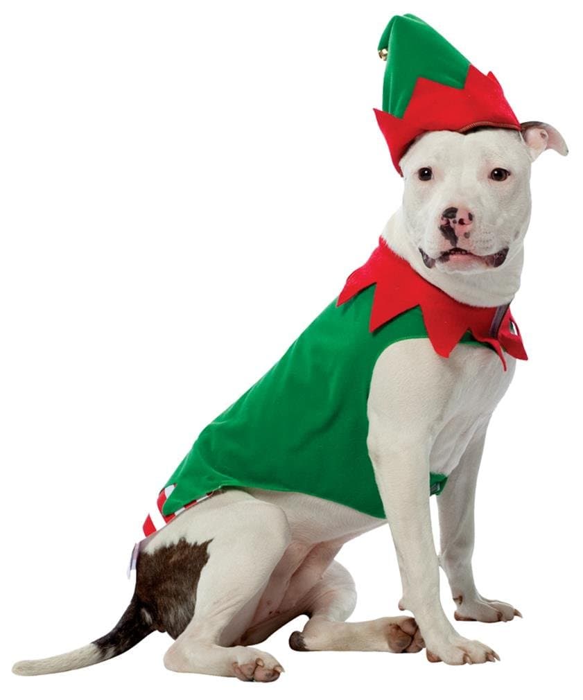 Elf Dog Pet Pet Costume - Large