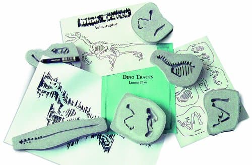 Dino Traces - Velociraptor Classroom Science Kit