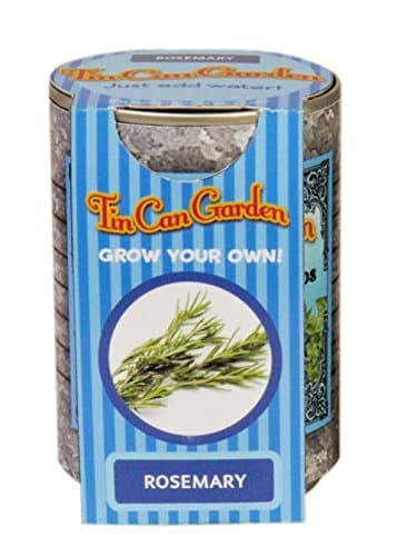 Tin Can Garden Herbs - Rosemary