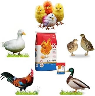 Pets Pro Food for Hen Duck Chicks Teetar Batair Feed 500gm Teetar Batair Premium Bird Food Grower Baby Chicken, Chicks, Pellet Feed (Hen, Duck, BATER, EMU) (Feed 500GM)