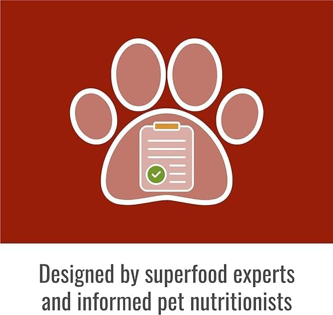 Jump & Run (For Medium & Large dogs)