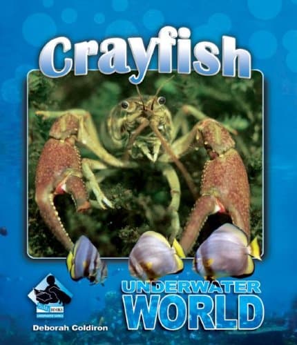 Crayfish (Underwater World Set II)