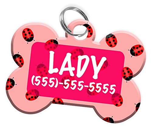 Ladybug Themed Dog tag Personalized with Custom Pets Name & Contact Number [Multiple Font Choices] [USA COMPANY]