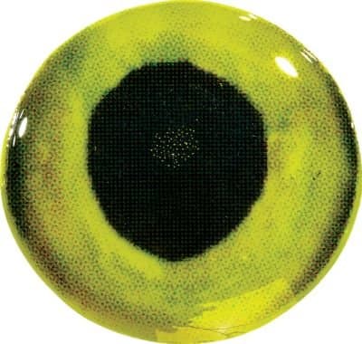 Clear Cure Eyes Monster 6mm 20pk