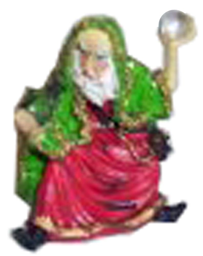 Wizard with Green Cloak and Hatchling Dragon