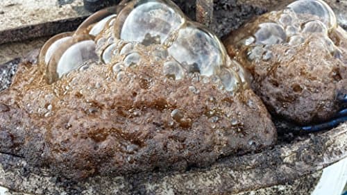 16 1/2" Compost Tea or Worm Castings Aerator;Best in Air & Quality (1)