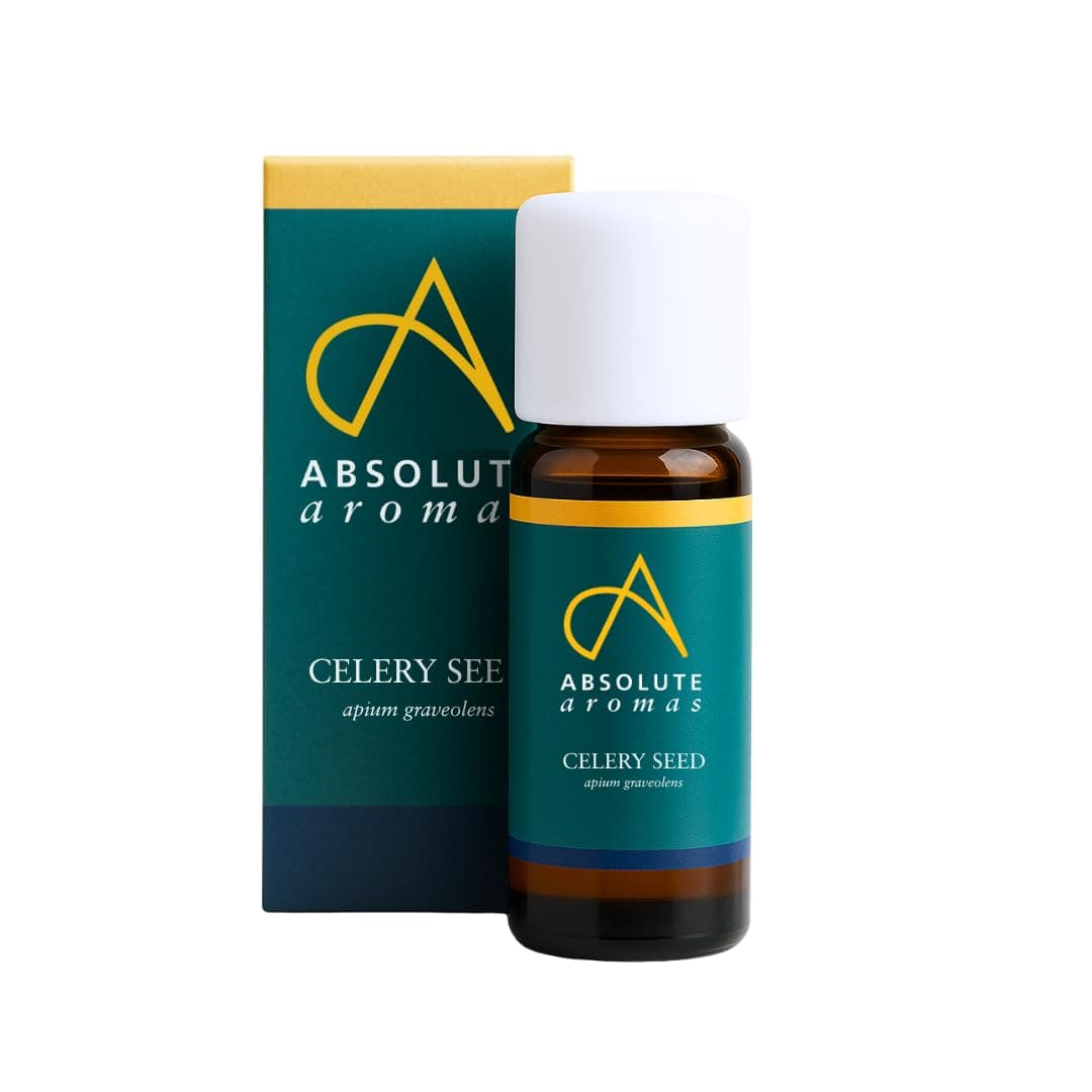 Absolute Aromas Celery Seed 10ml Essential Oil - 100% Pure, Natural, Undiluted, Vegan and Cruelty-Free - for use in Diffusers and Aromatherapy Blends