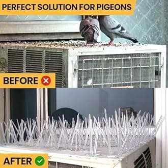 Mr Right Spikes for Bird & Pigeon (100 Pcs) Bird Spikes, Pigeon Control Spikes, Bird Deterrent, Pigeon Problem Solutions