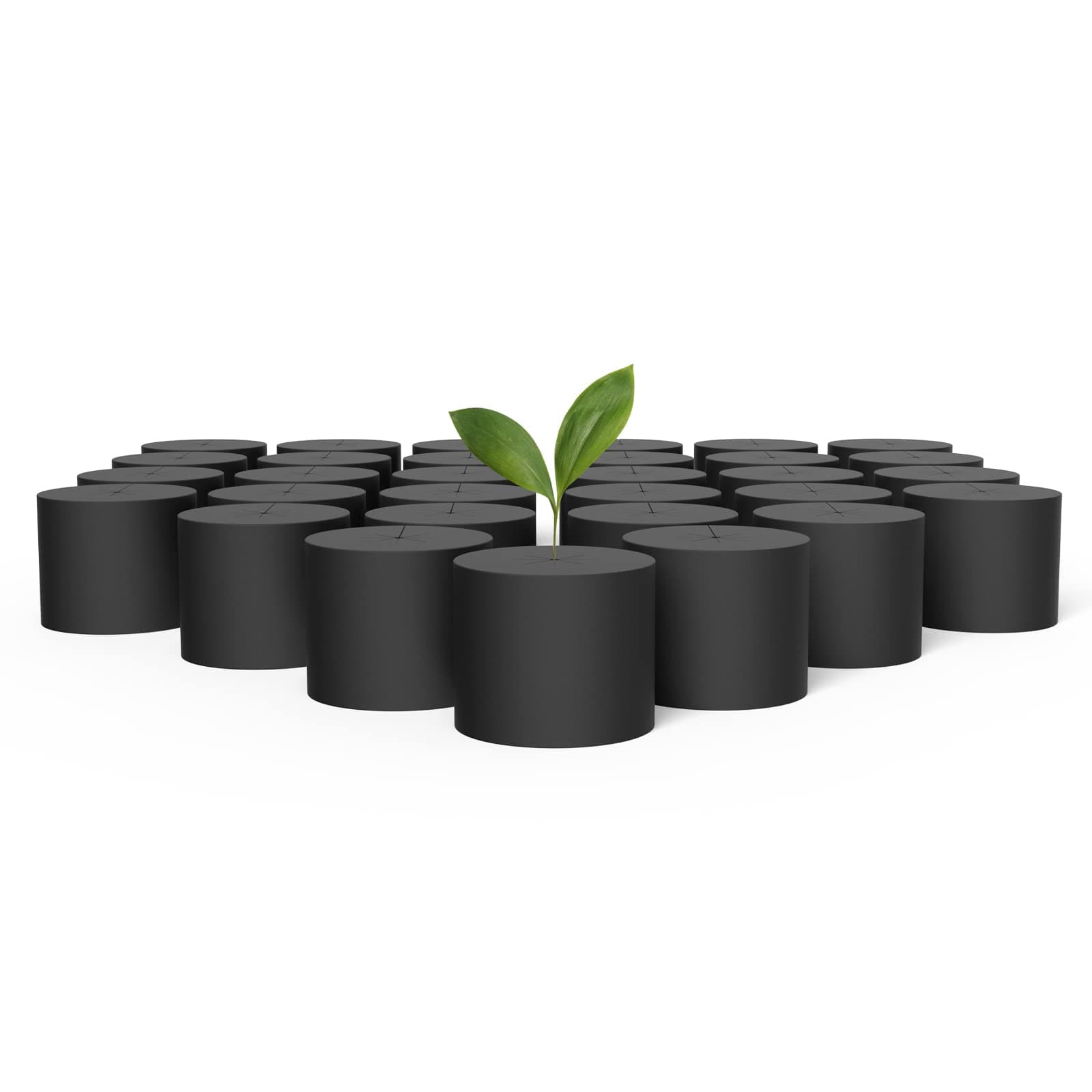 Clone Collar 3-Inch, Cloner Inserts with 8-Spoke Design, 50-Pack for Use with Net Cups in Hydroponics Growing Systems, Aeroponics, Cloning Machines, and Home Gardening