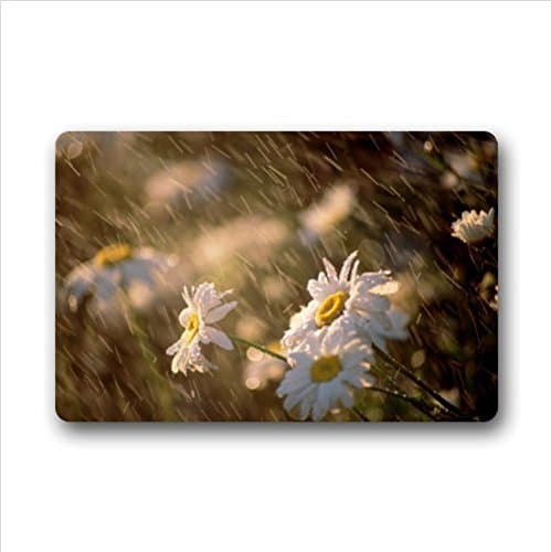 Personalized romantic rainy day view,beautiful raindrops pattern Entrance Mat,Indoor/Outdoor Doormat,Door Mats 23.6''(L) x 15.7''(W)