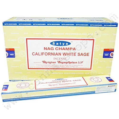 Californian White sage - x12