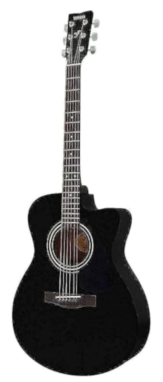 Acoustic Guitar FS-100C Black