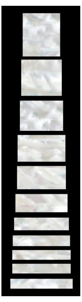 Jockomo スタンダードブロック(ホワイトパール) ギターに貼る インレイステッカー