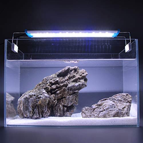 FREESEA LED Aquarium Light, Blue White Fish Tank Light (Light for 15-20 inch Tank)
