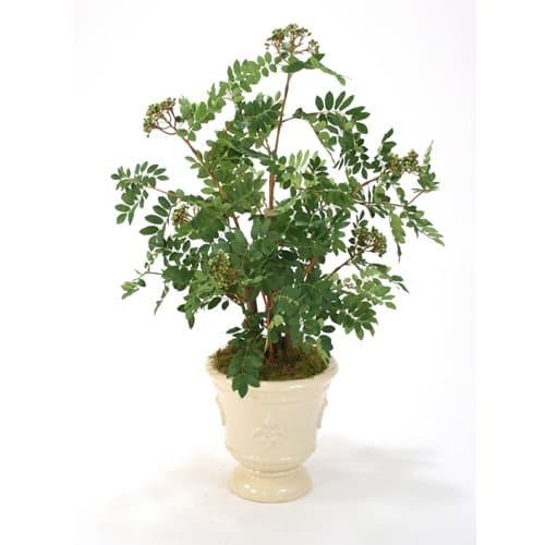 Silk Mountain Ash Floor Plant in Planter