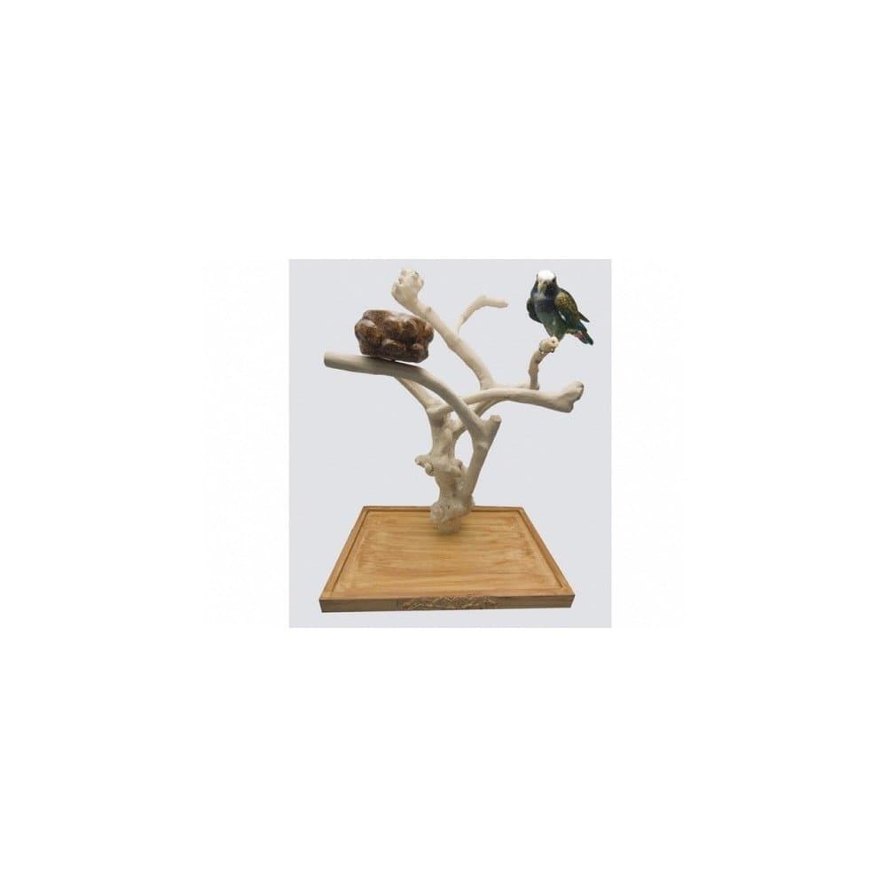 Parrotopia ITTM Table Top Stand with base and cup - Medium