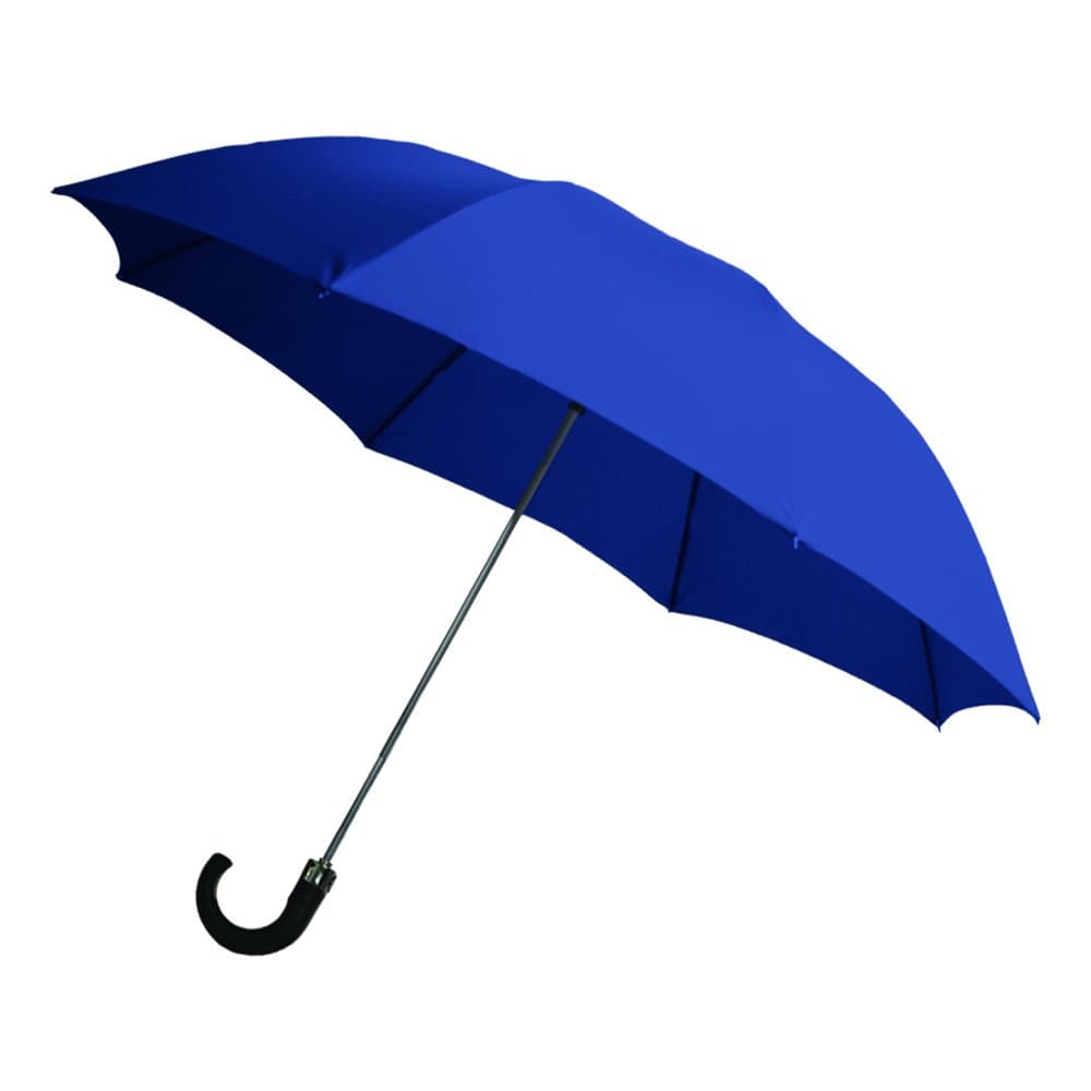 Rainbrella 2-Fold Auto Open Umbrella