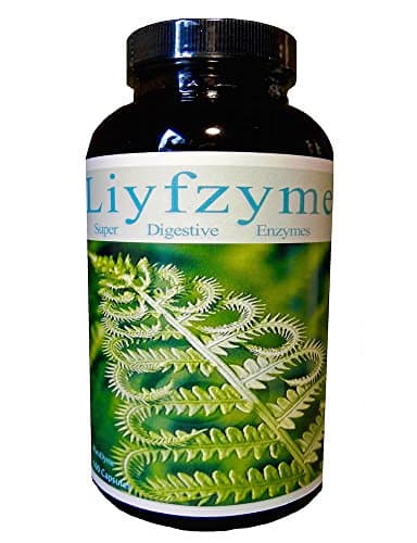 LIYFZYME CAPSULES 500count by Frequency Foods