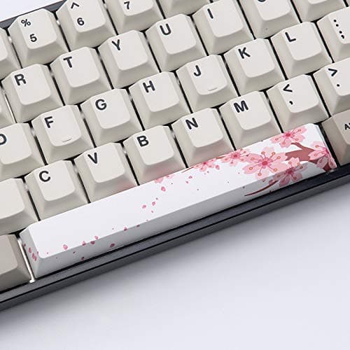 PBT Five Sides Dye-subbed Spacebar 6.25U Cherry Profile keycap for DIY Mechanical Keyboard (KIT 16)