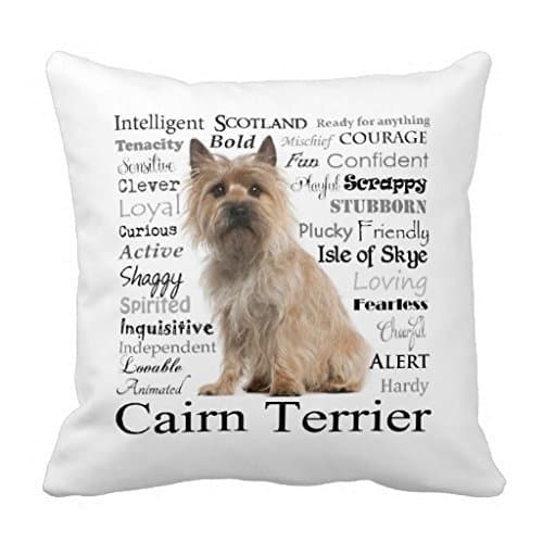 WNSBDjE Cairn Terrier Traits Pillow Case
