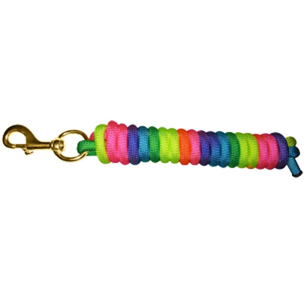 Basic Rainbow Poly Lead Rope with Bolt Snap