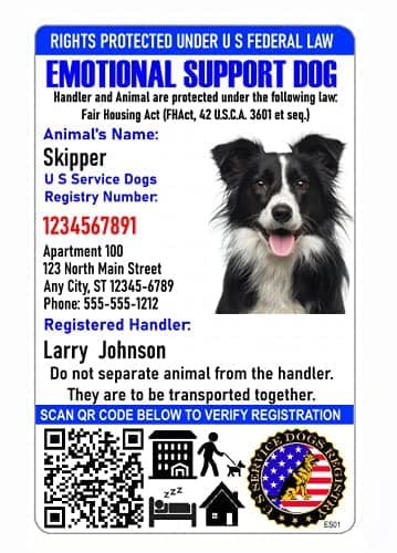 Just 4 Paws Custom Emotional Support ID Card with QR Code & Security Seal and Optional Holograph | Registration to U S Service Dogs Registry Plus ID Holder & Digital ID - Portrait Style