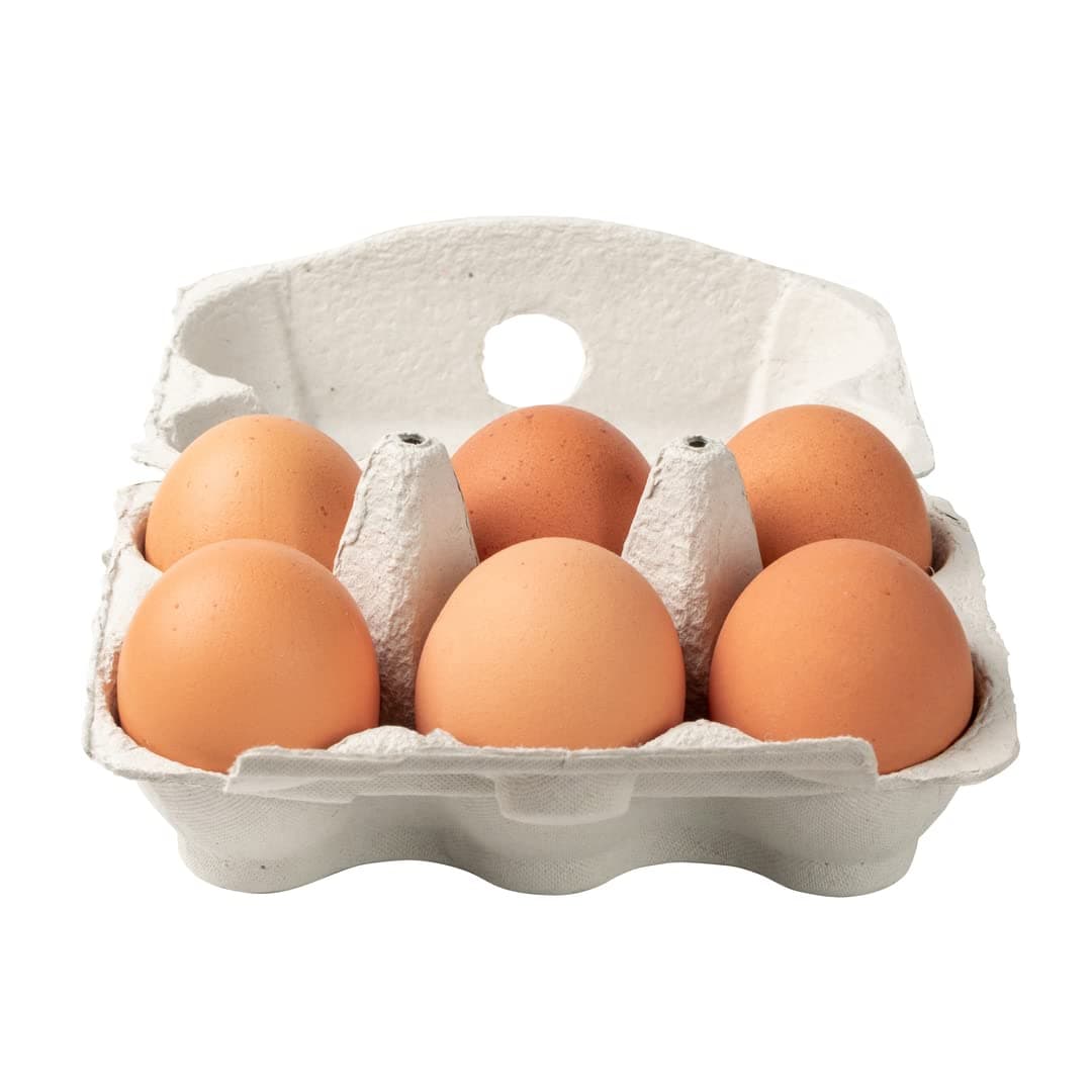 Free-Range Eggs – 48 Pack | Large Fresh Eggs from Free-Roaming Hens | Golden Yolks & High-Quality Protein | Ideal for Baking, Breakfast, Meal Prep & Catering