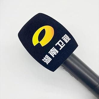 Customized Flocking Microphone Sponge Printing Logo Covers Mic Windscreen Foam Windshield For TV Stations Reporters Interview (Black)