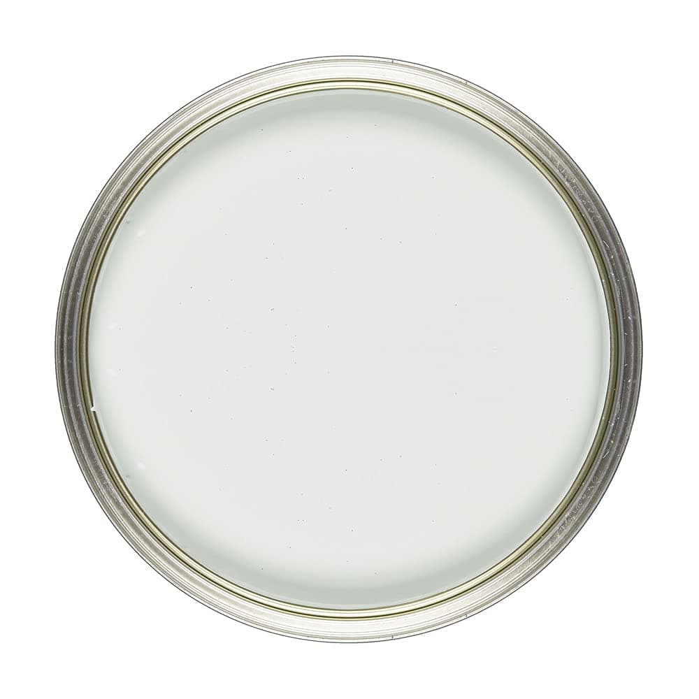 Vintro | Luxury Matt Emulsion | Smooth Chalky Finish | Multi Surface Paint | for Walls, Ceilings, Wood and Metal | (Honeydew - Hint of green, 1 Litre)